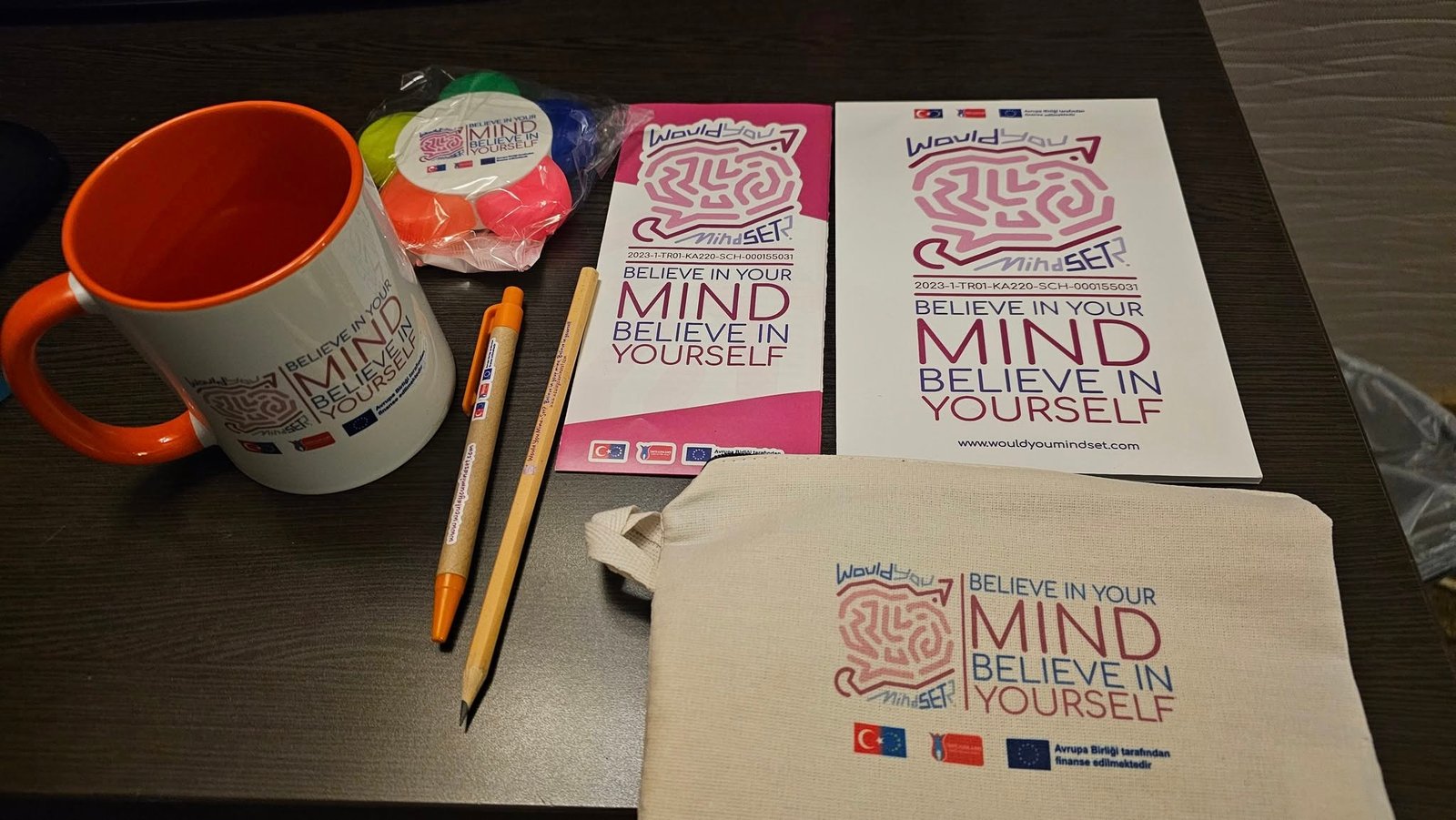 Successful Conclusion of the Final Meeting of the Would You Mind-Set Project